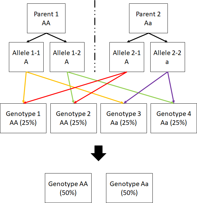 2.2.4 example